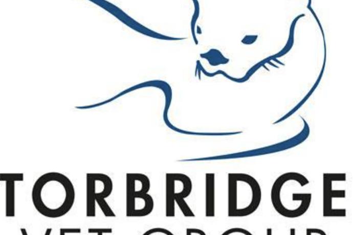 Torbridge Vets Bideford