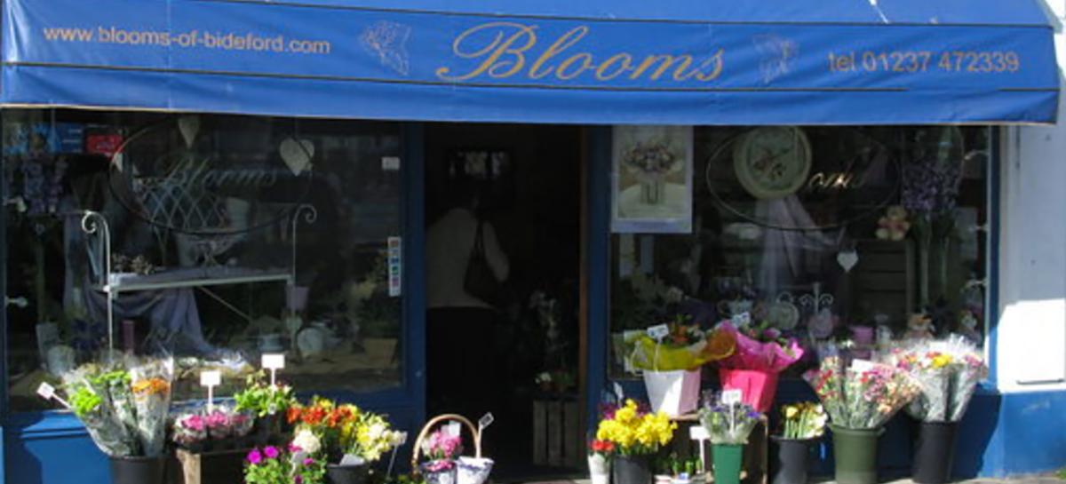 Blooms of Bideford