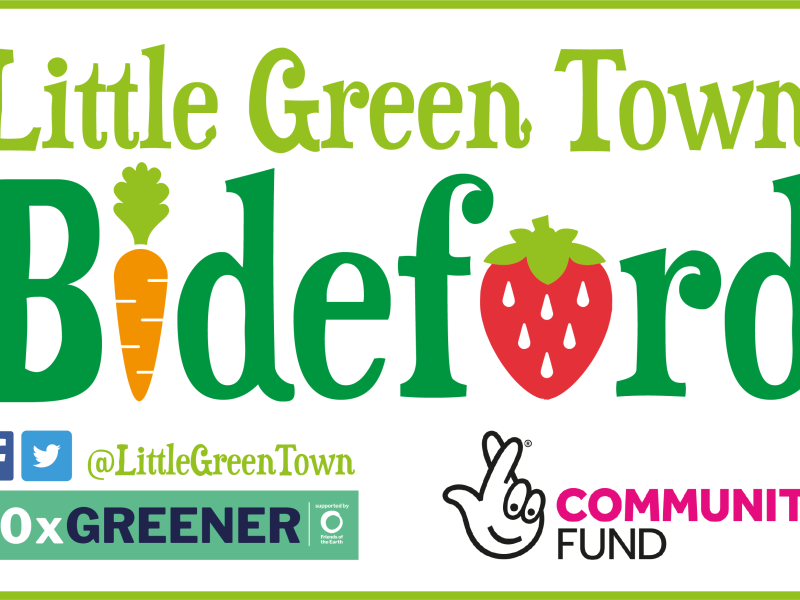 Bideford Little Green Town logo